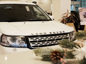  Freelander II   