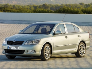 Skoda Octavia: ,  !