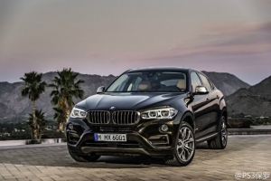 BMW   BMW X6