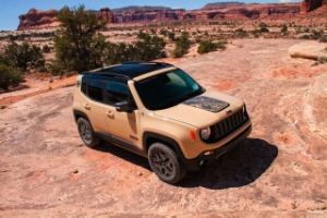 Jeep     2016