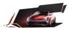 Volkswagen   Polo GTI R5