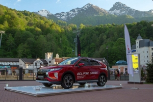 Mitsubishi Motors      ROSA RUN