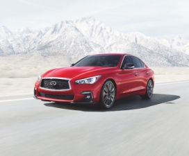 Infiniti Q50  Infiniti QX60       2019    Vincentric