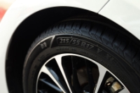 �������� ���� ������ Torero ����� ���������� ����������� ��Wildberries