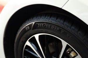 �������� ���� ������ Torero ����� ���������� ����������� ��Wildberries